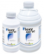 floxy 400